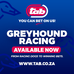 4 RACING GREYHOUND RACING