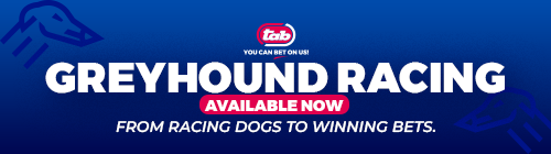 4 RACING GREYHOUND RACING
