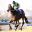 Legal-Eagle-wins-Jubilee.jpg