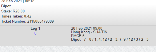 Bipot_2021-02-28-2.PNG