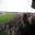IMG-20210120-WA0000.jpg
