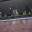 IMG-20210120-WA0001.jpg