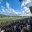 IMG-20230318-WA0011.jpg