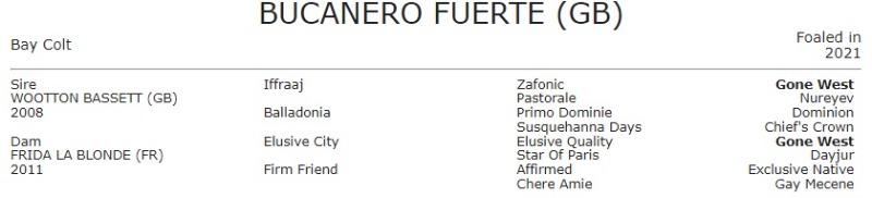 BUCANEROFUERTE.jpg