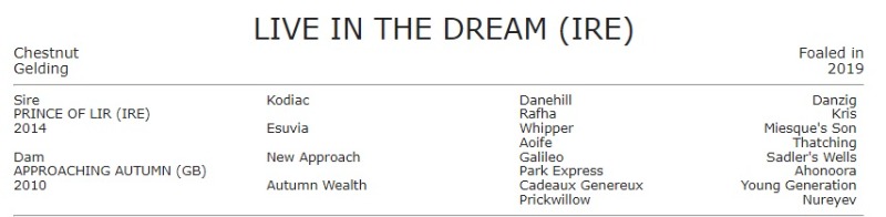 LIVEINTHEDREAM.jpg