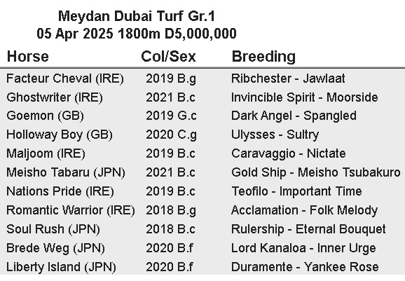 DubaiTurf.jpg