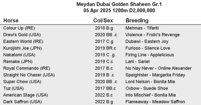 GoldenShaheen.jpg
