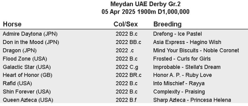UAEDerby.jpg