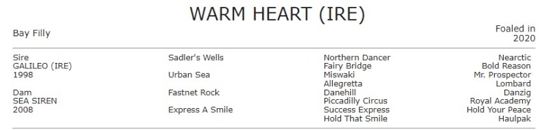 WARMHEART.jpg