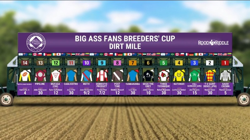 dirtmile2024.jpg