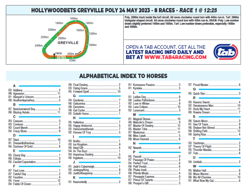 Screenshot2023-05-23at20-57-23HOLLYWOODBETSGREYVILLE2023.05.24.pdf.png