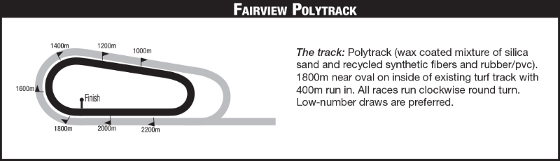 FAIRVIEWPOLLY_2020-10-29.png