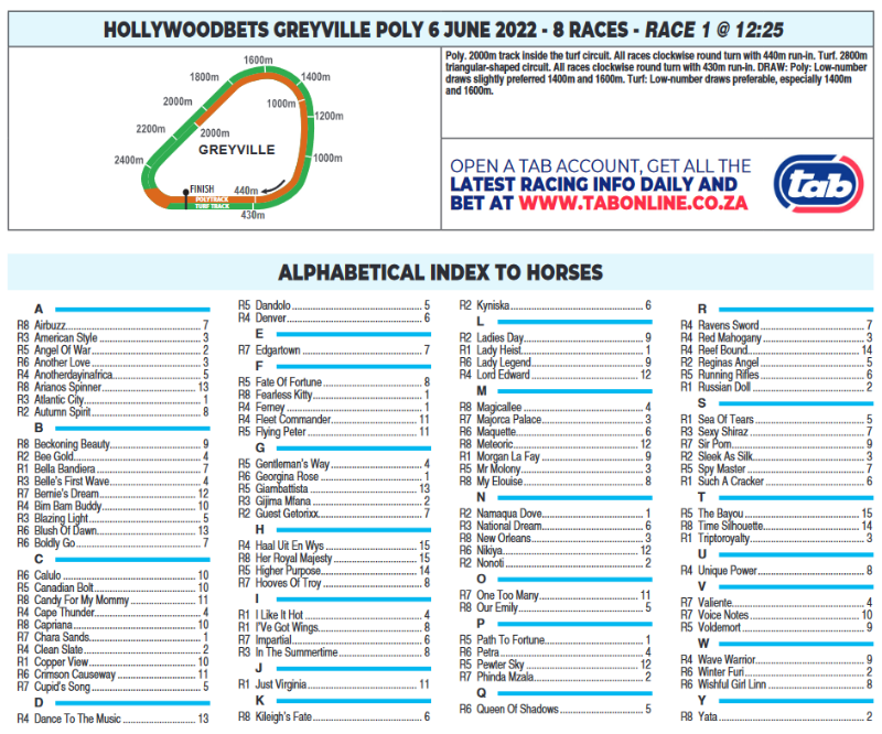 Screenshot2022-06-06at08-23-48CFSA_GREYVILLE2022.06.06.indb-HOLLYWOODBETSGREYVILLE2022.06.06.pdf.png