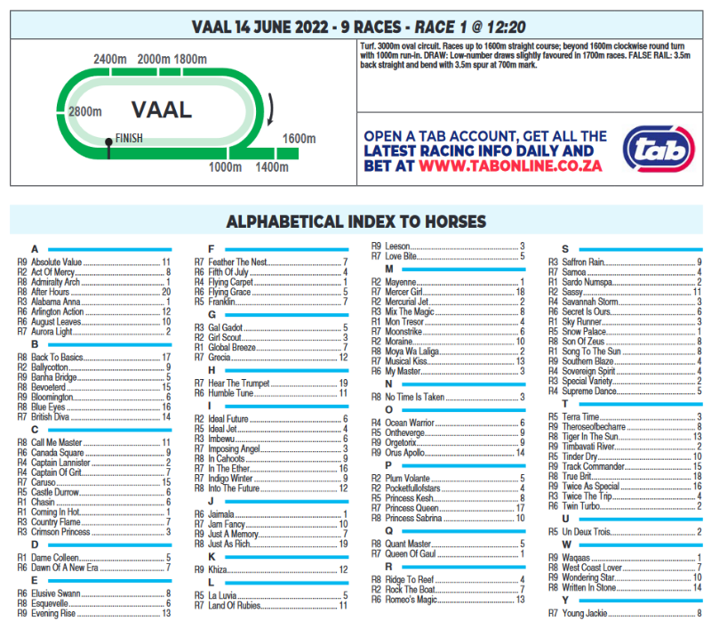 Screenshot2022-06-13at21-19-14VAAL2022.06.14.pdf.png