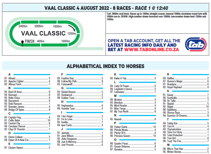 Screenshot2022-08-03at20-42-07CFSA_VAAL2022.08.04.indb-VAAL2022.08.04.pdf.png