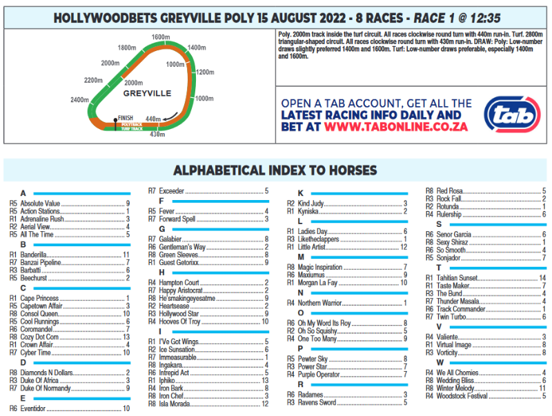Screenshot2022-08-15at08-52-18CFSA_GREYVILLE2022.08.15.indb-HOLLYWOODBETSGREYVILLE2022.08.15.pdf.png