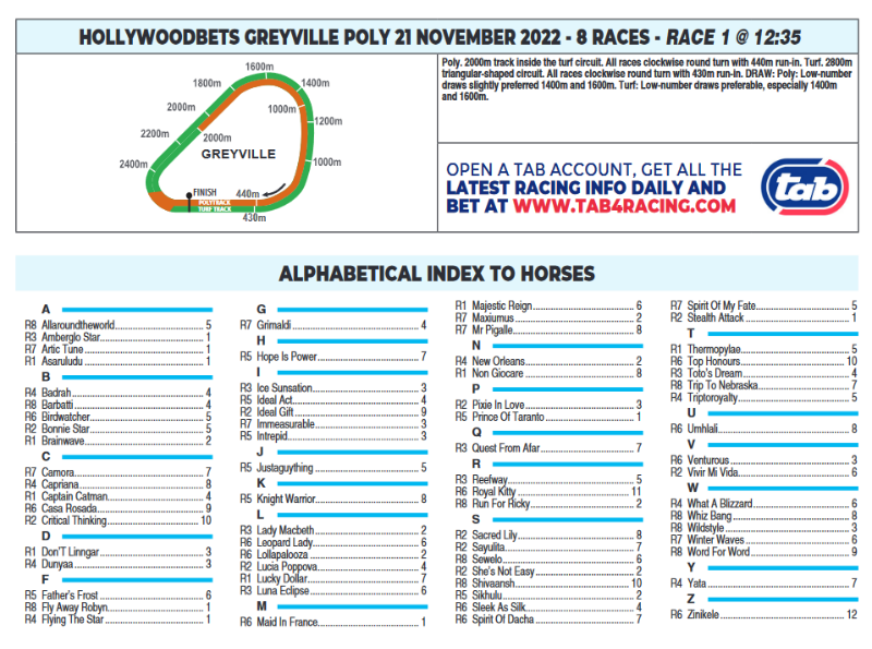Screenshot2022-11-20at20-12-29CFSA_GREYVILLE2022.11.21.indb-HOLLYWOODBETSGREYVILLE2022.11.21.pdf.png