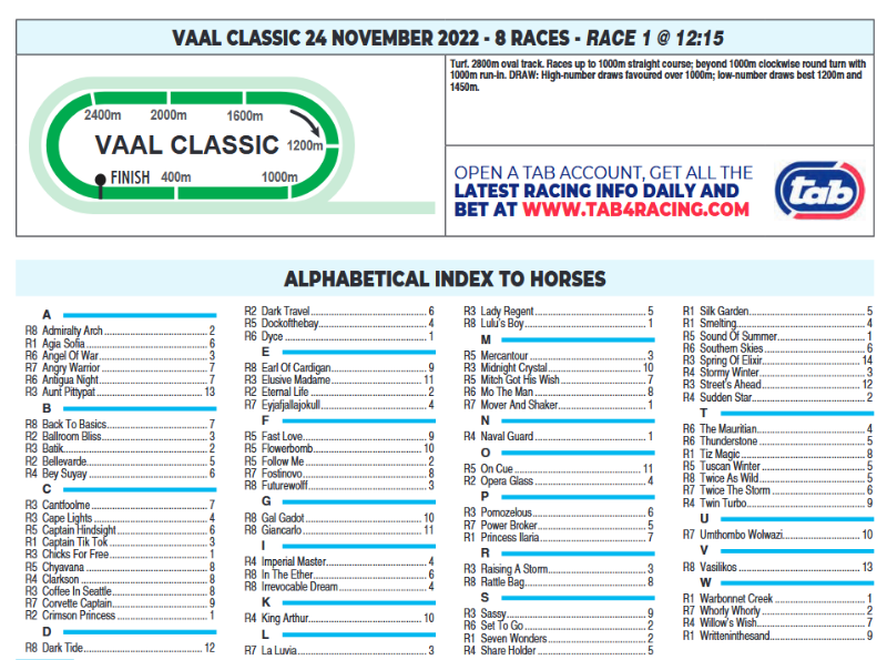 Screenshot2022-11-23at22-27-23CFSA_VAAL2022.11.24.indb-VAAL2022.11.24.pdf.png