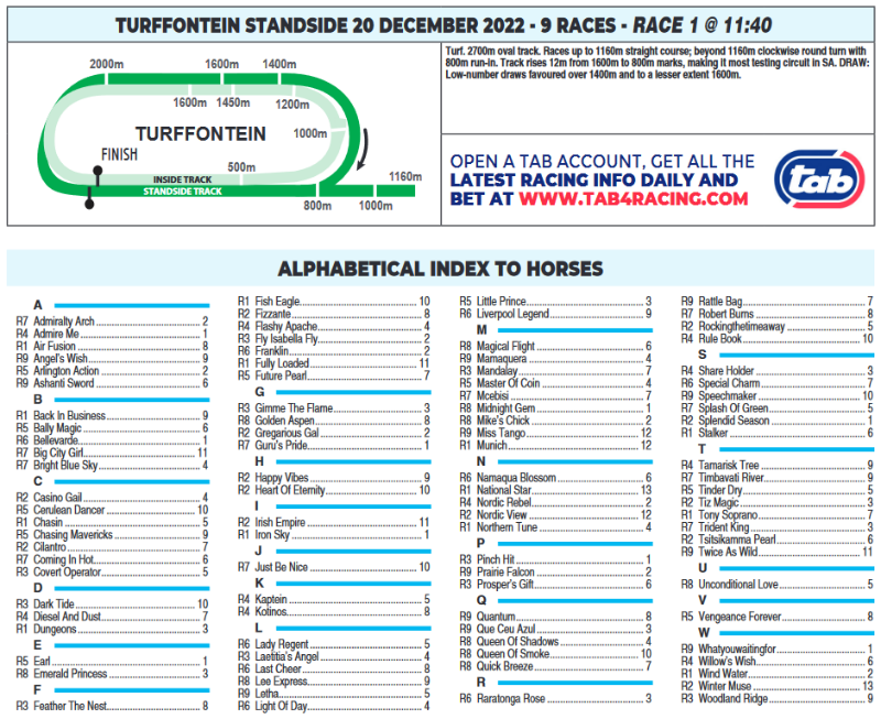 Screenshot2022-12-20at00-35-50CFSA_TURFFONTEIN2022.12.20.indb-TURFFONTEIN2022.12.20.pdf.png