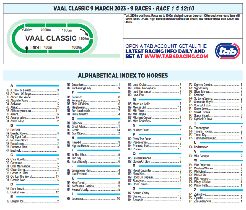 Screenshot2023-03-08at20-40-50CFSA_VAAL2023.03.09.indb-VAAL2023.03.09.pdf.png