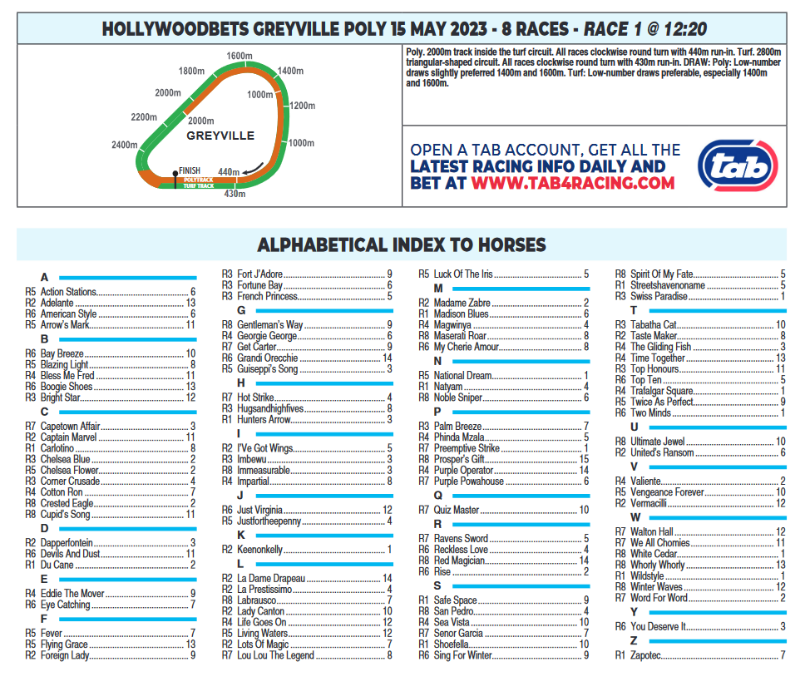 Screenshot2023-05-14at21-34-14CFSA_GREYVILLE2023.05.15.indb-HOLLYWOODBETSGREYVILLE2023.05.15.pdf.png
