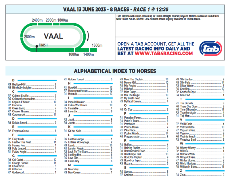 Screenshot2023-06-13at07-36-40CFSA_VAAL2023.06.13.indb-VAAL2023.06.13.pdf.png