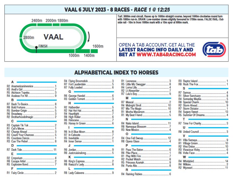 Screenshot2023-07-06at08-17-49VAAL2023.07.06.pdf.png