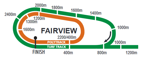 Screenshot_2021-02-11CFSA_FAIRVIEW20210212indb-FAIRVIEW20210212pdf.png