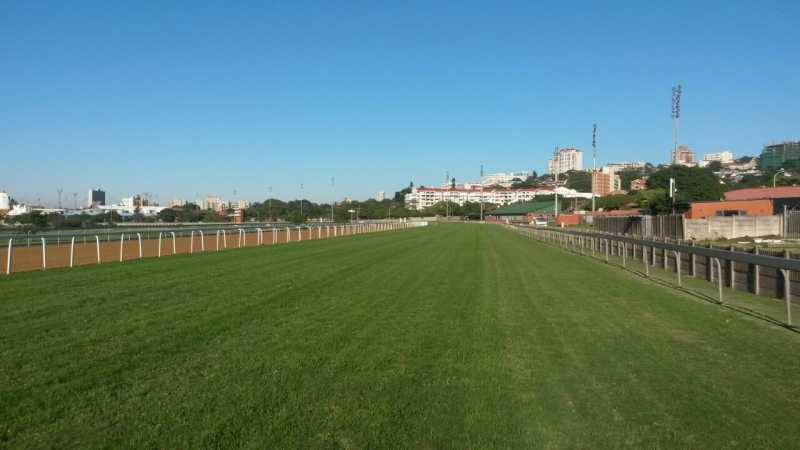 image-147.jpg